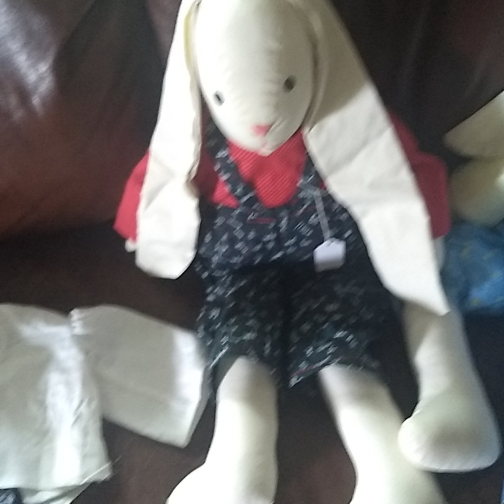 Bunny rabbit - Picture 3 of 6